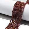 Natural Garnet Beads Strands LS-G-H079-A01-01A-2