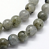 Natural Labradorite Beads Strands G-I199-15-4mm-3