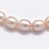 Natural Cultured Freshwater Pearl Beads Strands PEAR-K003-23C-01-3