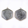 Natural Labradorite Pendants G-T112-19A-2