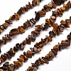 Natural Tiger Eye Chip Bead Strands G-M205-03-1