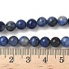 Natural Sodalite Beads Strands G-G515-6mm-07-6