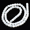 Natural Trochid Shell/Trochus Shell Beads Strands SSHEL-N034-121-B01-2