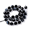 Natural Dyed & Heated Black Banded Agate/Striped Agate Beads Strands G-R482-13-10mm-2
