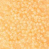 6/0 Glass Seed Beads SEED-US0003-4mm-142-2