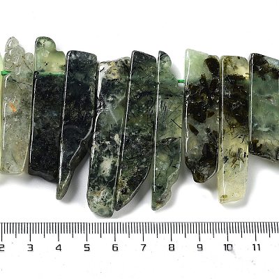 Natural Prehnite Beads Strands G-L551B-12-1