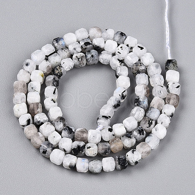 Natural Rainbow Moonstone Beads Strands G-T141-66-1