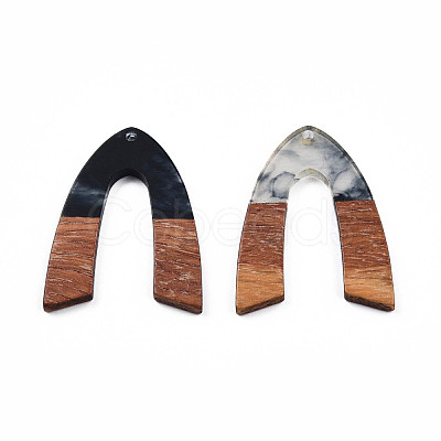 Transparent Resin & Walnut Wood Pendants RESI-N025-029-C-1