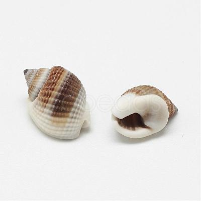 Natural Spiral Shell Beads BSHE-S613-02-1