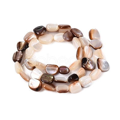 Natural Freshwater Shell Beads Strands SHEL-Q030-01-1