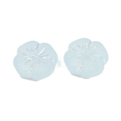 Frosted Transparent Acrylic Beads OACR-P029-19B-06-1