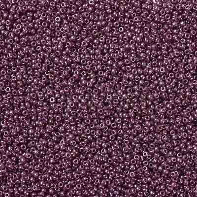 MIYUKI Round Rocailles Beads SEED-JP0009-RR0313-1
