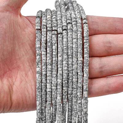 Dyed Synthetic Turquoise Beads Strands G-Z089-A04-A-1