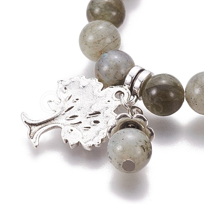 Chakra Jewelry BJEW-I273-A04-1