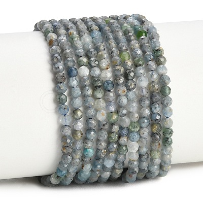 Natural Kyanite Cyanite Disthene Beads Strands GG-CBABEF5-A01-3mm-02-1