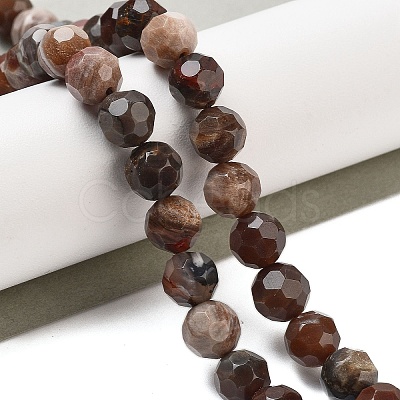 Natural Petrified Wood Beads Strands G-C150-B01-01-1