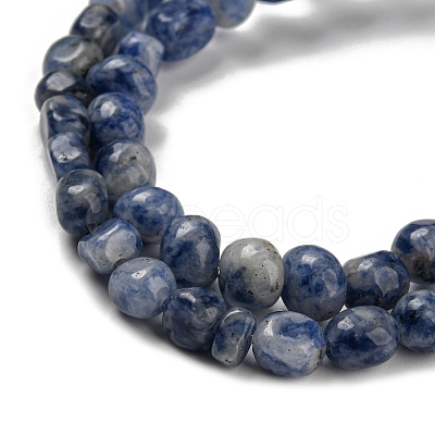 Natural Blue Spot Jasper Bead Strands G-F465-53-1