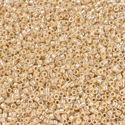 MIYUKI Delica Beads X-SEED-J020-DB1561-1