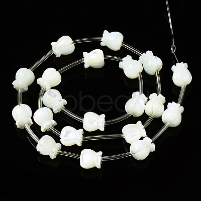 Natural Trochid Shell/Trochus Shell Beads Strands SSHEL-N032-26-1