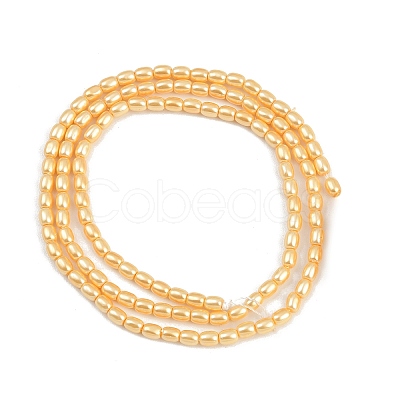 Electroplated Shell Pearl Beads Strands BSHE-H113-06A-09-1