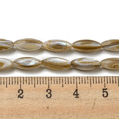 Natural Freshwater Shell Beads Strands SHEL-C005-04-1
