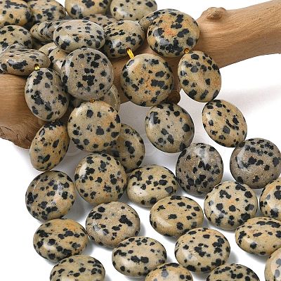 Natural Dalmatian Jasper Beads Strands G-L648-B19-15mm-1