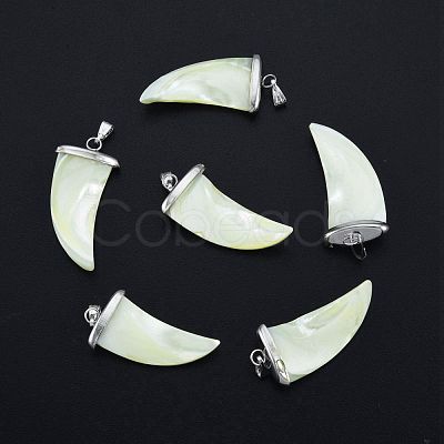 Natural Trochid Shell/Trochus Shell Pendants SSHEL-G024-06P-1