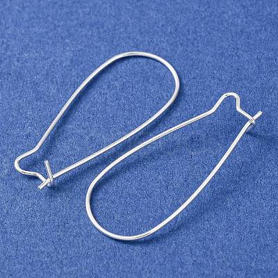 Brass Hoop Earrings Findings Kidney Ear Wires EC221-S-1
