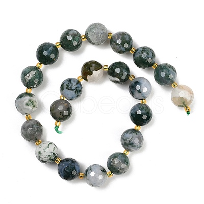 Natural Moss Agate Beads Strands G-C249-A08-16mm-1