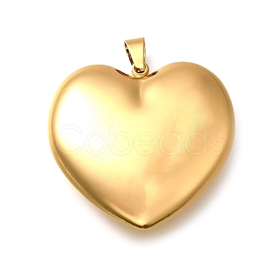 304 Stainless Steel Pendants STAS-H200-01G-05-1