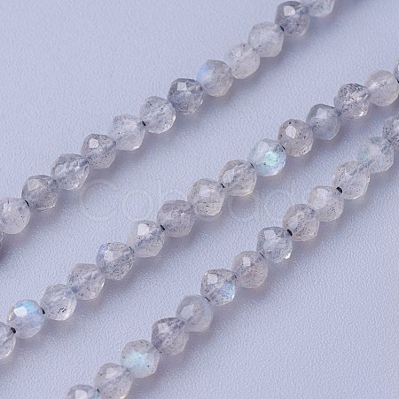 Natural Labradorite Beads Strands X-G-F619-15-3mm-1