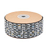 10 Yards Polyester Ribbon with Metallic Trimming OCOR-TAC0034-01-1