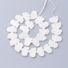 Natural White Shell Beads X-SSHEL-Q298-07-2