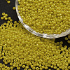 6/0 Glass Seed Beads SEED-J014-F6-42-5