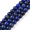 Natural Lapis Lazuli Beads Strands G-P348-01-6mm-1