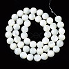 Natural Trochid Shell/Trochus Shell Beads Strands SSHEL-S266-023A-03-2