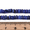 Natural Freshwater Shell Dyed Beads Strands SHEL-T020-29A-10-4