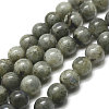 Natural Labradorite Bead Strands X-G-P256-01-6mm-1