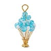 Glass Pendants PALLOY-MZ01302-2