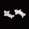 Natural Trochid Shell/Trochus Shell Beads SSHEL-T014-30-3