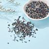 Glass Seed Beads X-SEED-S059-001-6