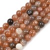 Natural Multi-Moonstone Beads Strands G-J157-8mm-06-2