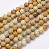 Natural Fossil Coral Beads Strands G-G697-F01-4mm-1