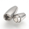 Tarnish Resistant 304 Stainless Steel Magnetic Clasps with Glue-in Ends STAS-Q211-31A-3