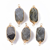 Natural Labradorite Links connectors G-T131-04A-1