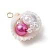 Natural Clam Shell Pendants PALLOY-JF03551-4