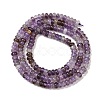 Natural Amethyst Beads Strands G-K343-C47-01-3