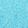 TOHO 11/0 Round Beads X-SEED-TR11-0170D-2