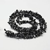 Natural Snowflake Obsidian Beads Strands G-F328-10-2