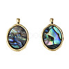 Synthetic Abalone Shell/Paua Shell Pendants KK-N233-254-2